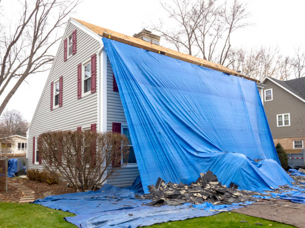 Best Insulated Siding Installation  in Ventnor City, NJ