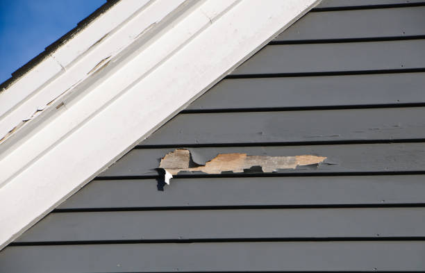 Professional Siding Installation & Repair in Ventnor City, NJ