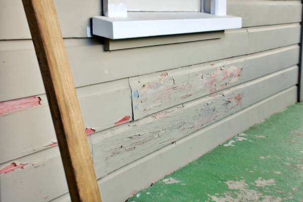 Affordable siding repair and maintenance services in Ventnor City, NJ